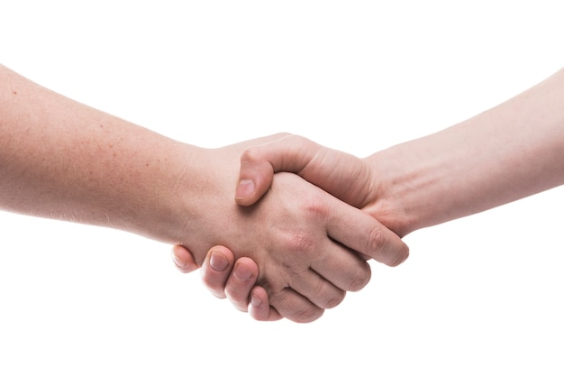 Close-up handshake on white