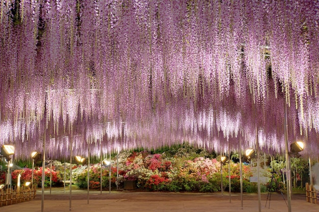 ぶら下がる花のクローズアップ