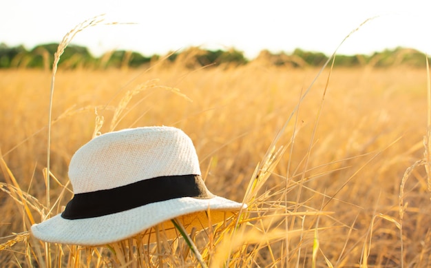 Photo close-up of hat on field