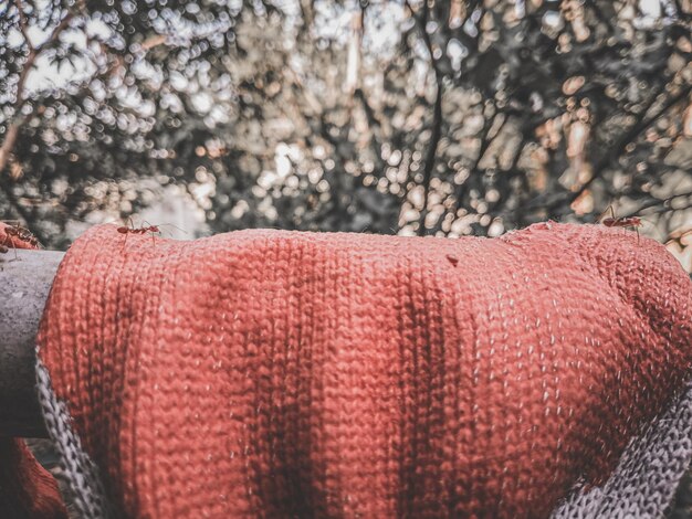 Foto prossimo piano del cappello a terra