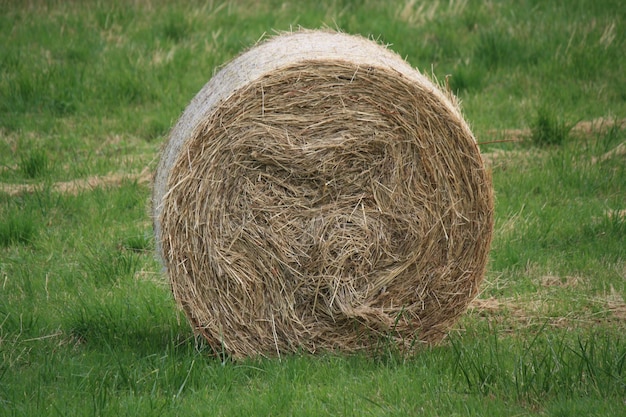 Photo close-up of hay bales on field