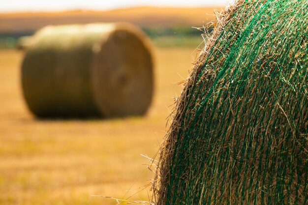 Close-up of hay bales on field