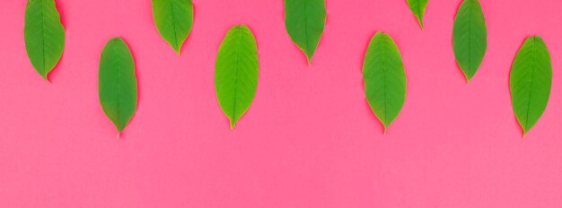 Foto close-up di forma di cuore contro la parete rosa