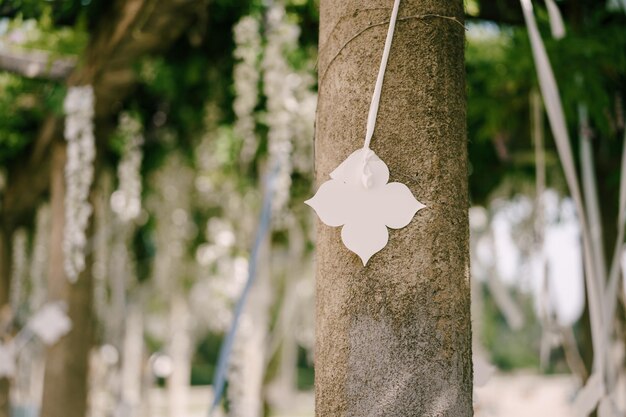Close-up of heart shape hanging on tree trunk