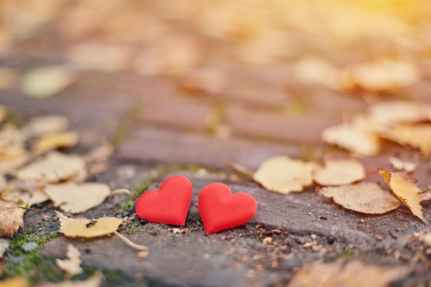 Photo close-up of heart shape on leaf during autumn