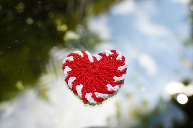 Foto close-up di una foglia a forma di cuore