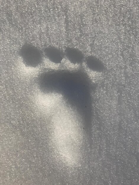 Close-up of heart shape on sand