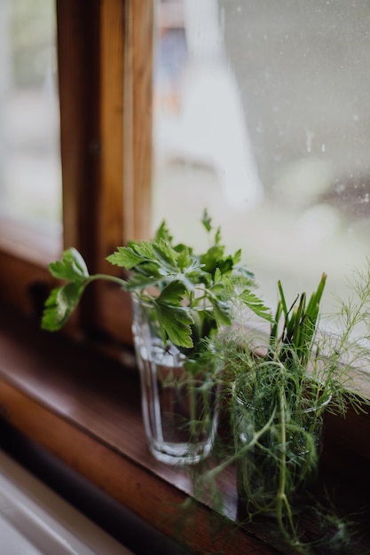 Photo close-up of herbs in glasses on window sill