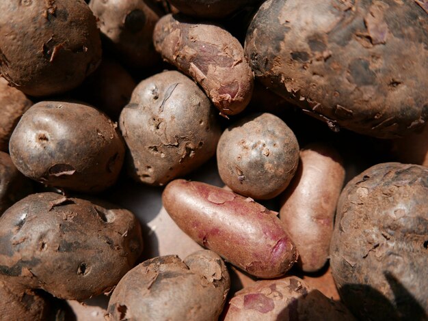 Photo close-up high angle view of potatoes