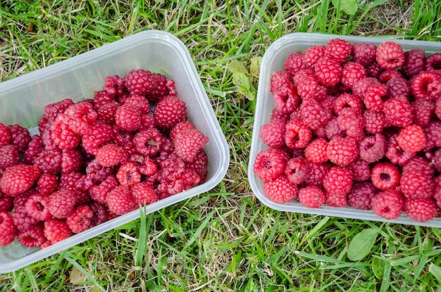 Photo close-up high angle view of strawberries