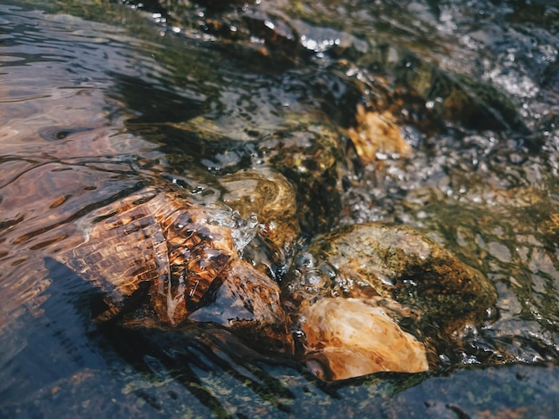 Close-up high angle view of water