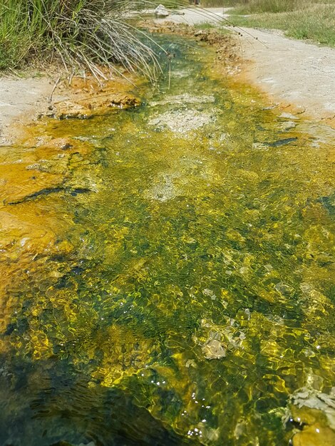 Close-up high angle view of water