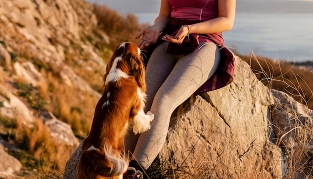 Фото Крупным планом турист с собакой на природе