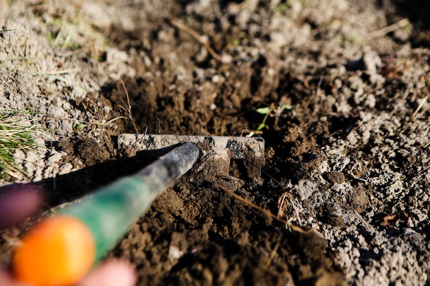 Close up of hoe for weeding beds in the ground