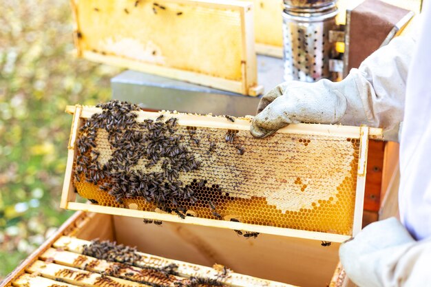 Photo close up of honeycomb by a beehive beekeeping concept