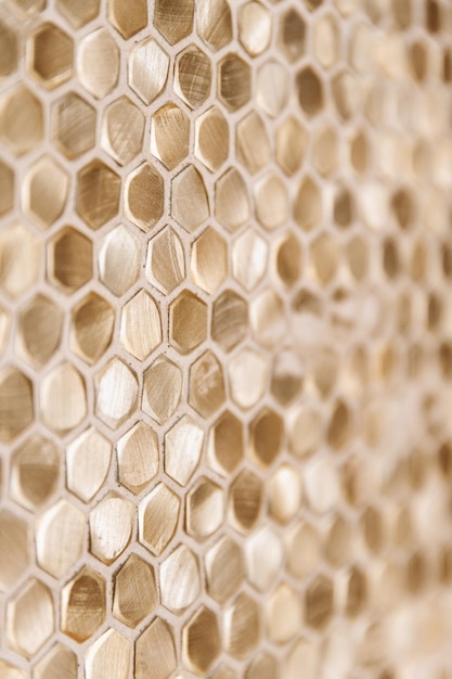 A close up of a honeycomb texture with cells