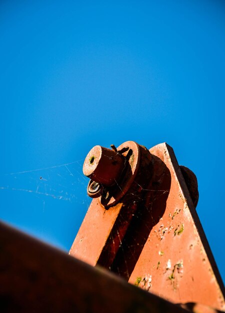 Close-up of horse against clear blue sky