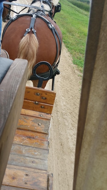 Foto prossimo piano di un carro a cavallo