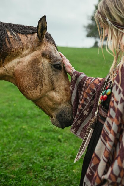 Foto chiuda sulla foto di concetto del cavallo