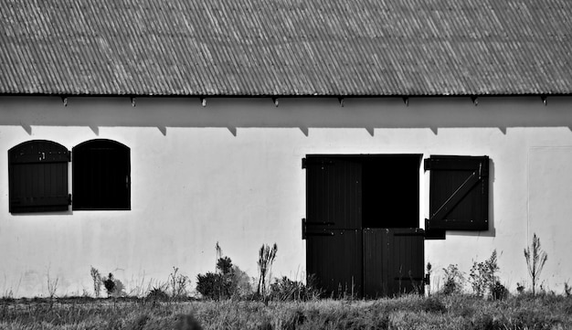 close up of a Horse Stable monochrome