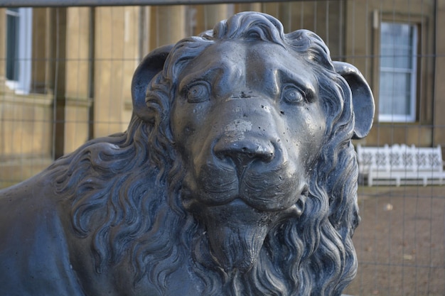 Foto close-up di una statua di cavallo