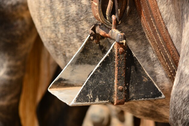 Close up of a horse stirrup