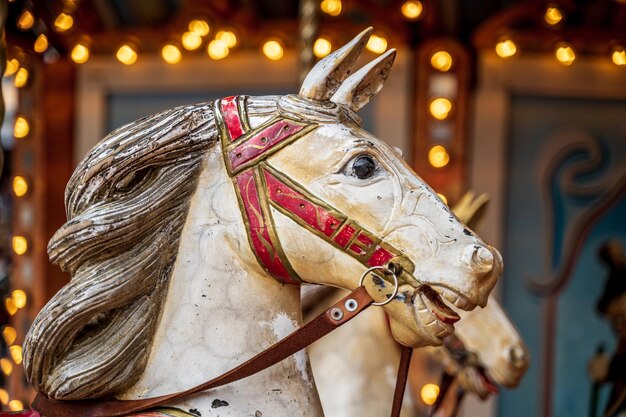 Foto prossimo piano di un cavallo