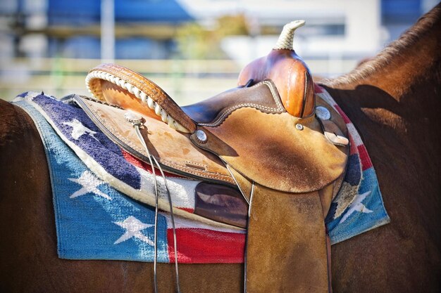 Foto prossimo piano del cavallo