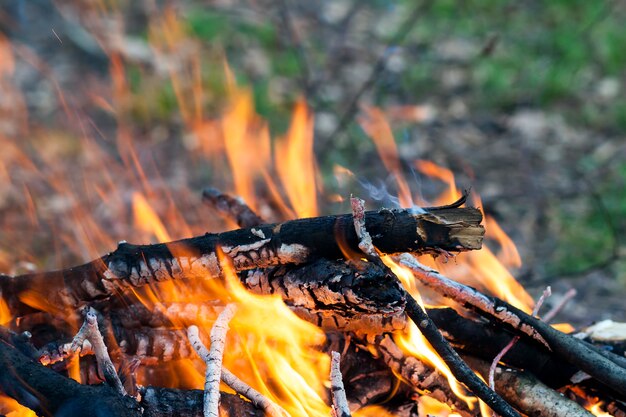 Close up of hot burning fire wood coal