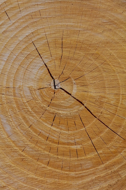 Close-up houten gesneden textuur hout gesneden textuur