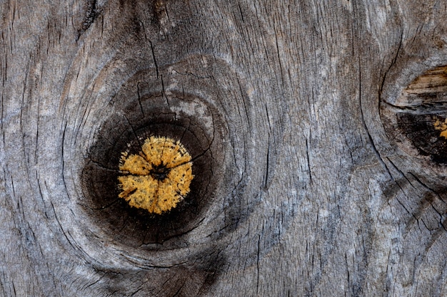 Close-up houten textuur