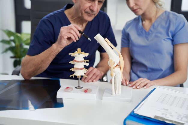 Close up of human body skeleton model in doctors office