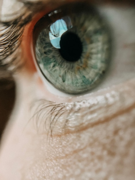 close-up of human eye