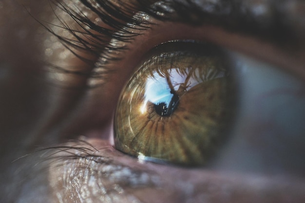 close-up of human eye