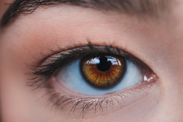 close-up of human eye