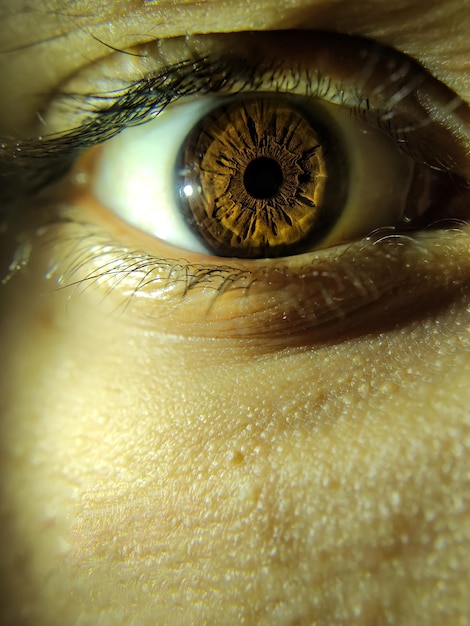 Photo close-up of human eye