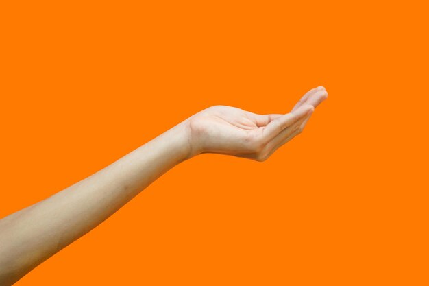 Close-up of human hand against orange background