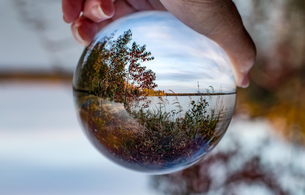 Foto close-up di mano umana contro gli alberi