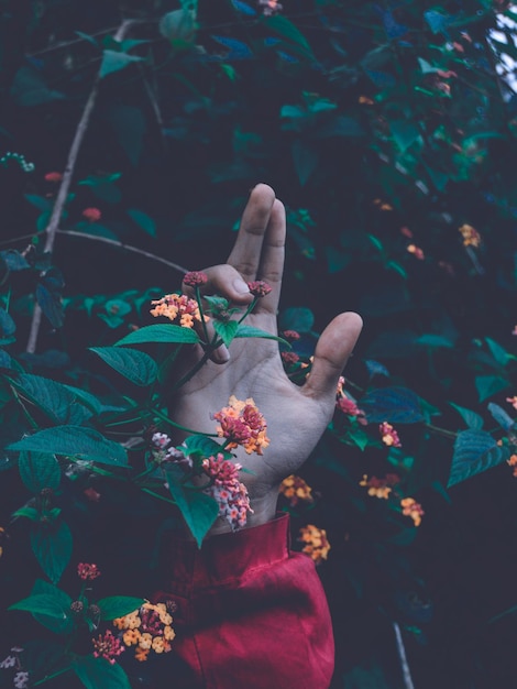 Photo close-up of human hand by flowering plant