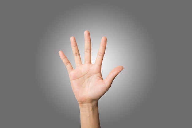 Close-up of human hand gesturing against gray background