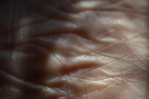 Photo close-up of human hand