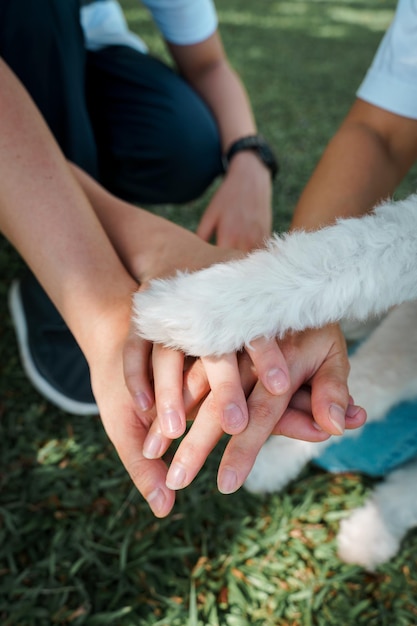 Foto close-up di mani umane con piedi di cane