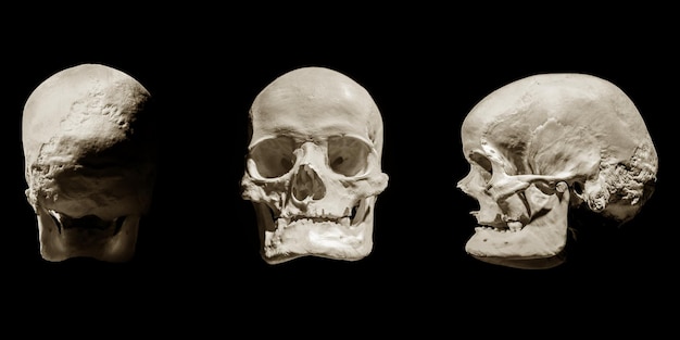 Photo close-up of human skull against black background