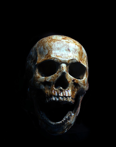 Photo close-up of human skull against black background