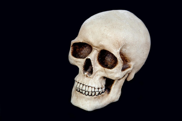 Foto close-up di un cranio umano su sfondo nero