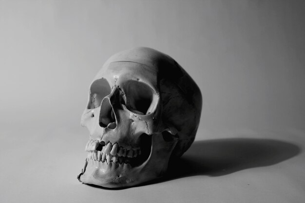 Photo close-up of human skull against gray background