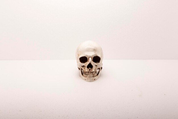 Photo close-up of human skull against white background