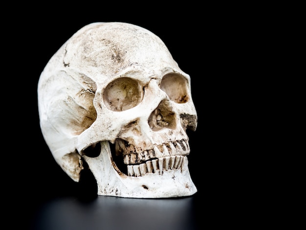 Foto chiuda sul cranio umano sui precedenti neri