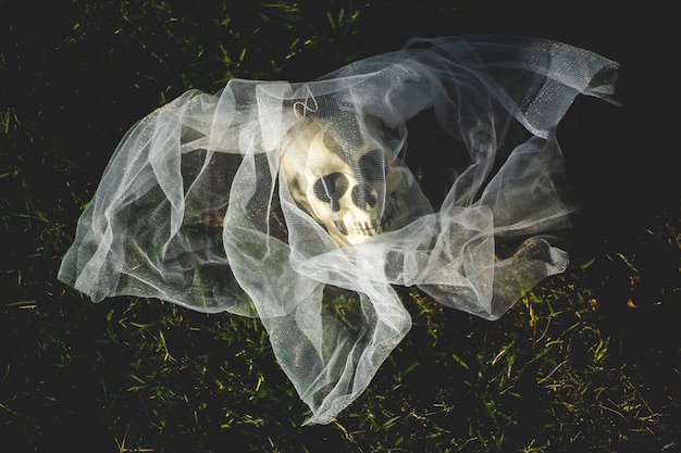 Photo close-up of human skull on field