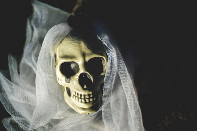 Photo close-up of human skull and veil on field at night